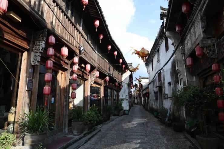 细胞分裂4